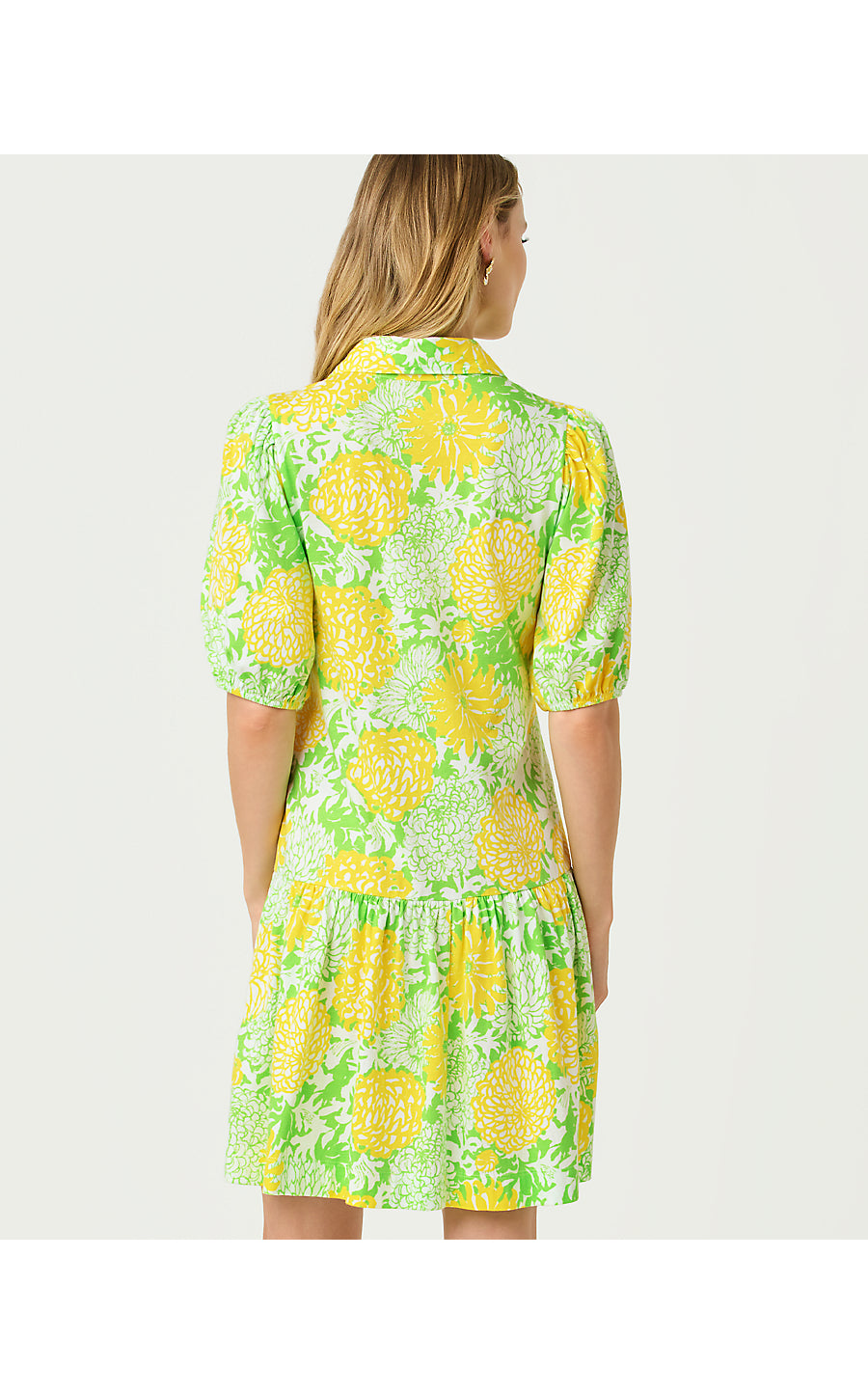BINGLEY DRESS
