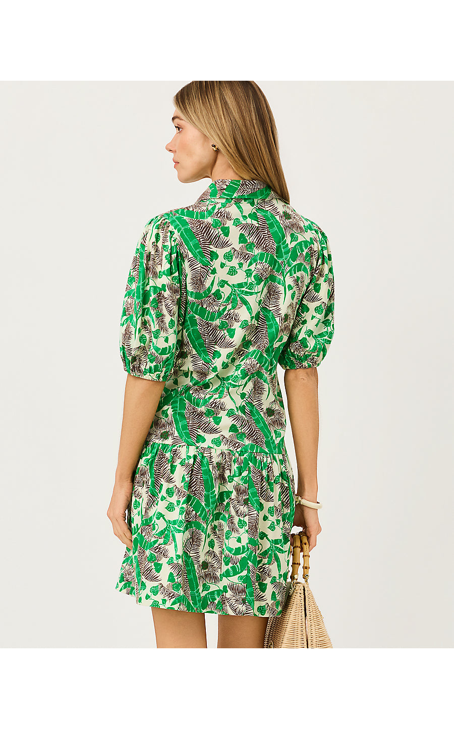 BINGLEY DRESS