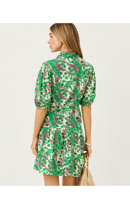 BINGLEY DRESS