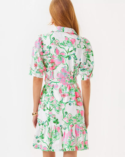 SASHRIA DRESS
