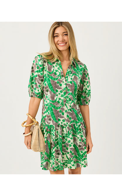BINGLEY DRESS