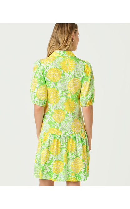 BINGLEY DRESS
