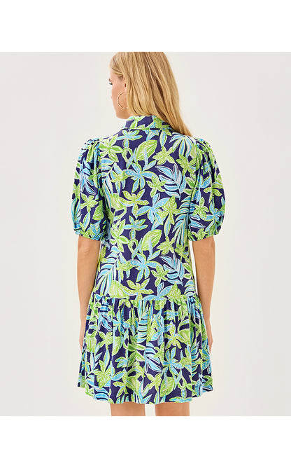 BINGLEY DRESS