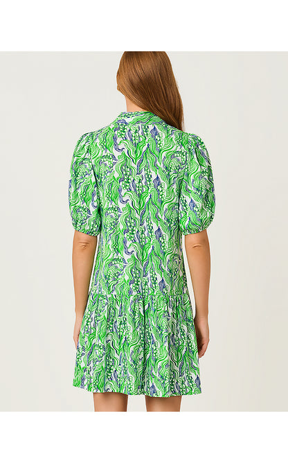 BINGLEY DRESS