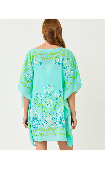 AIRSY COVERUP