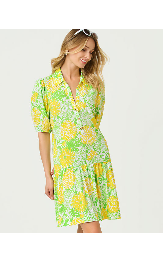 BINGLEY DRESS