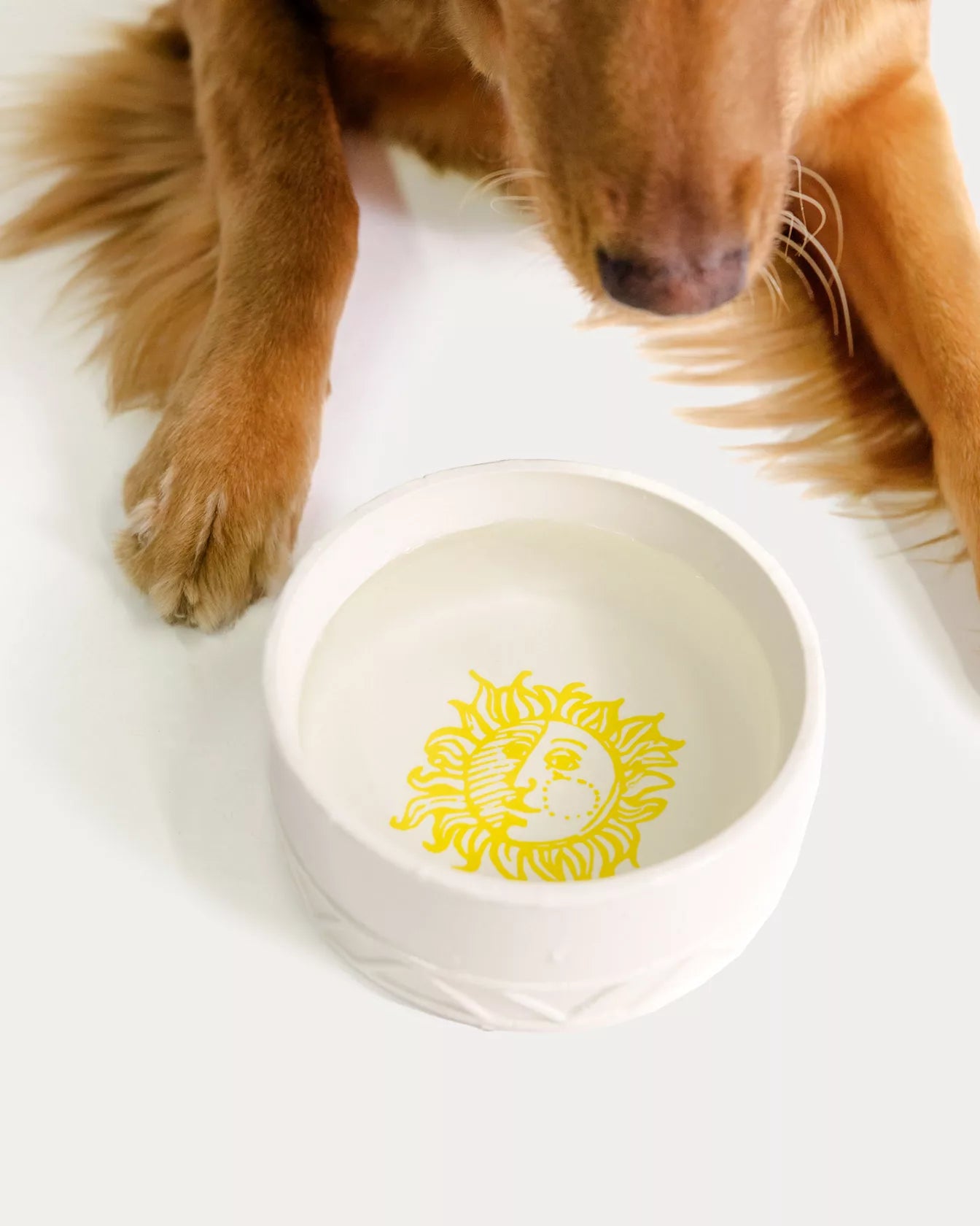 Pet Bowl, Sun Tiles Home
