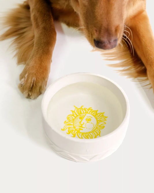 Pet Bowl, Sun Tiles Home